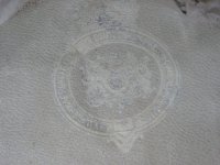 IMG_8910.JPG