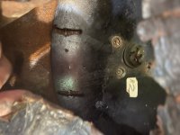IMG_1411.jpeg
