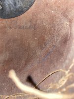 IMG_2470.jpeg