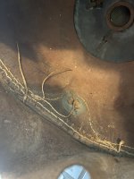 IMG_2478.jpeg