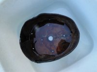 DSC06752.JPG