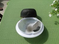 DSC06775.JPG