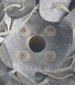 IMG_9641.jpeg