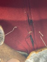 IMG_3845.jpeg