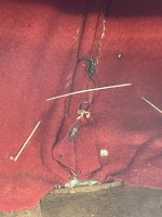 IMG_3844.jpeg