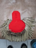 PXL_20250126_100047556.jpg