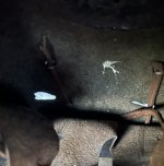IMG_9503.jpeg