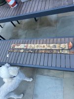 IMG_9714.jpeg