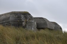 MUS (8).JPG