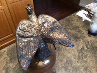 IMG_0056.jpeg