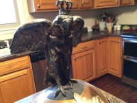 IMG_0054.jpeg