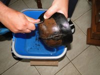 DSC07485.JPG