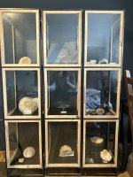 IMG_2841.jpeg
