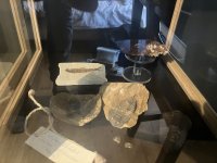 IMG_2843.jpeg
