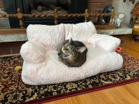 IMG_1881.JPEG