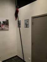 IMG_5971.jpeg