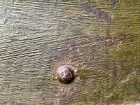 IMG_8726.jpeg
