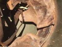 IMG_9023.jpeg