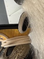 IMG_8645.jpeg