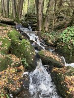 IMG_2891.jpeg