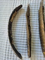 20260508_103053.jpg