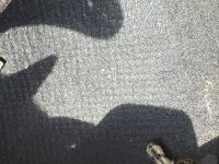 IMG_2270.jpeg