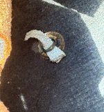 IMG_2272.jpeg