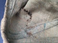 IMG_9796.jpeg