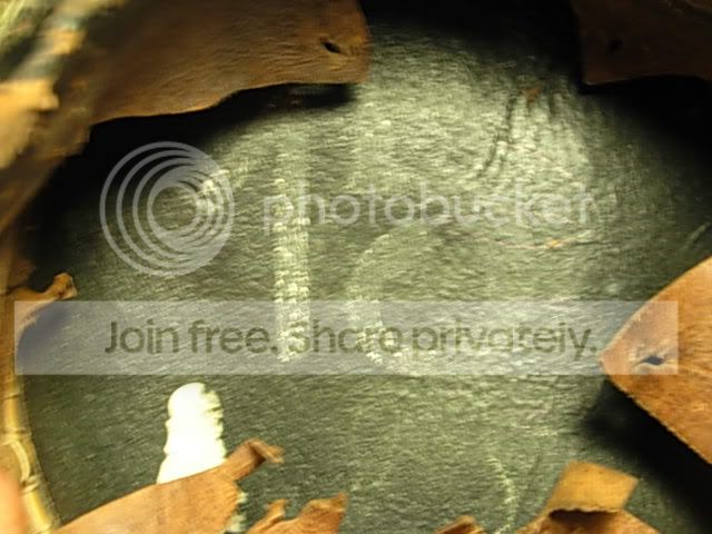 DSCN0115.jpg